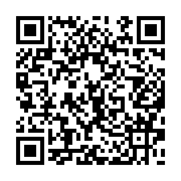 XC2V80-4FGG256I QRCode