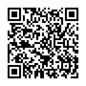 XC4085XL-2BG432C QRCode