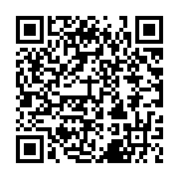 XC4028XL-2HQ240I QRCode