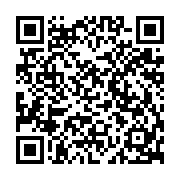 XC4025E-4PG299I QRCode