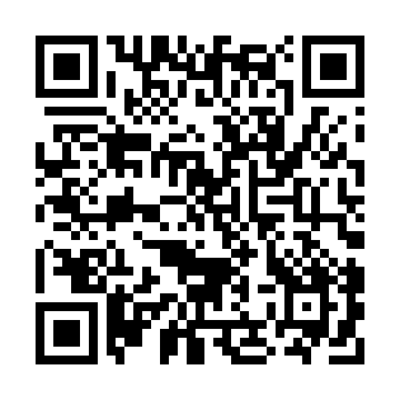 XC4013XL-2BG256I QRCode