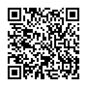 XC4013XL-2BG256C QRCode