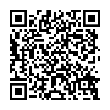 XC4013E-4HQ208I QRCode