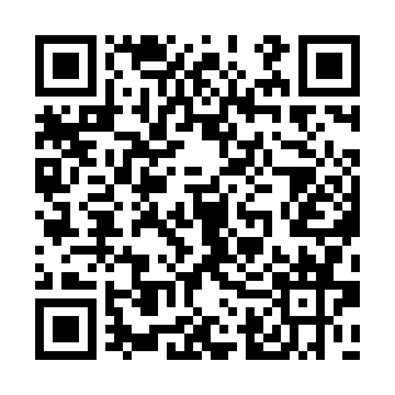 XC4013E-4BG225I QRCode