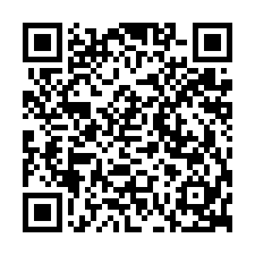 XC4013E-2HQ208I QRCode