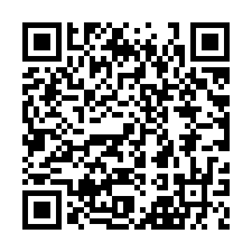 XC4013E-2BG225I QRCode