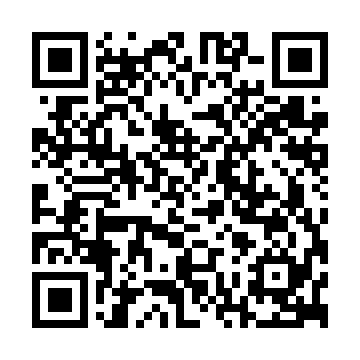 XC4013E-1BG225C QRCode