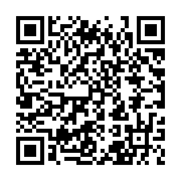 XC4010E-2BG225I QRCode