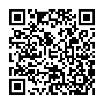 XC4010XL-2BG256I QRCode