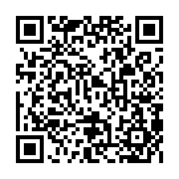 XC4008E-4PQ208I QRCode