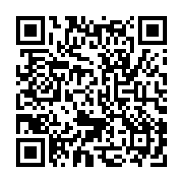 XC4010XL-1BG256I QRCode