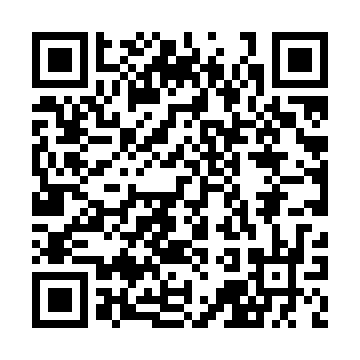 XC4010E-3BG225C QRCode