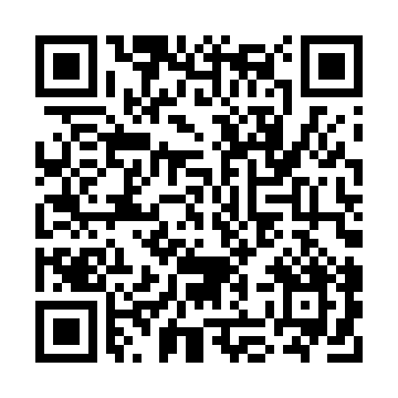 XC4006E-4PQ208I QRCode