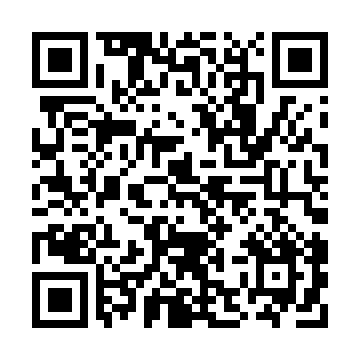 XC95216-10HQ208I QRCode